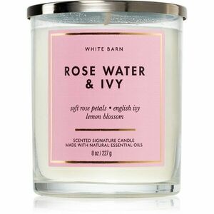 Bath & Body Works Rose Water & Ivy vonná svíčka 227 g obraz