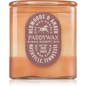 Paddywax Vista Redwoods & Amber vonná svíčka 340 g obraz