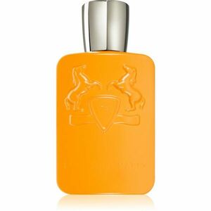 Parfums De Marly Perseus parfémovaná voda pro muže 125 ml obraz