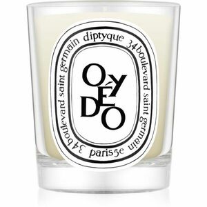 Diptyque Oyedo vonná svíčka 190 g obraz