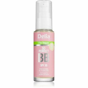 Delia Cosmetics BB So Perfect matující BB krém s hydratačním účinkem odstín 01 Light 30 ml obraz
