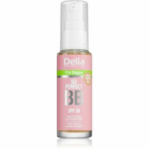 Delia Cosmetics BB So Perfect matující BB krém s hydratačním účinkem odstín 03 Dark 30 ml obraz