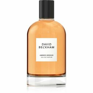 David Beckham Amber Breeze parfémovaná voda pro muže 100 ml obraz