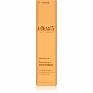 Attitude Oceanly Face Cream rozjasňující tuhý krém s vitaminem C 30 g obraz