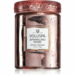 VOLUSPA Vermeil Sparkling Rose vonná svíčka 156 g obraz
