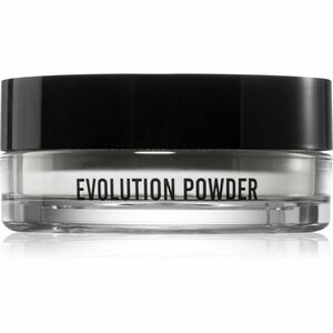 Danessa Myricks Beauty Evolution Powder sypký transparentní pudr odstín #1 11 g obraz