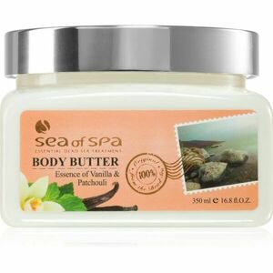 Sea of Spa Essential Dead Sea Treatment tělové máslo s minerály z Mrtvého moře 350 ml obraz