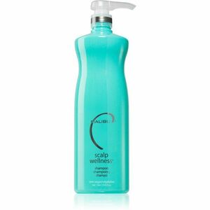 Malibu C Scalp Wellness hydratační šampon pro zdravou pokožku hlavy 1000 ml obraz