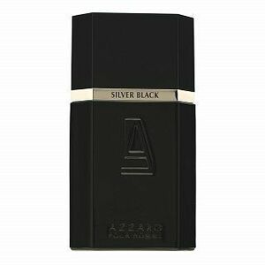 Azzaro Silver Black toaletní voda pro muže 100 ml obraz