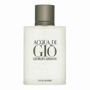 Armani (Giorgio Armani) Acqua di Gio Pour Homme toaletní voda pro muže 100 ml obraz