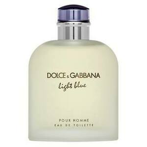 Dolce & Gabbana Light Blue Pour Homme toaletní voda pro muže 200 ml obraz