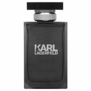 Karl Lagerfeld obraz
