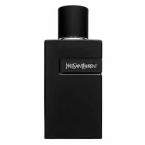 Yves Saint Laurent Y parfémovaná voda pro muže 100 ml obraz