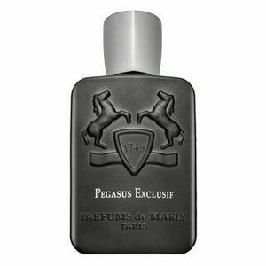 Parfums de Marly Pegasus Exclusif parfémovaná voda pro muže 125 ml obraz