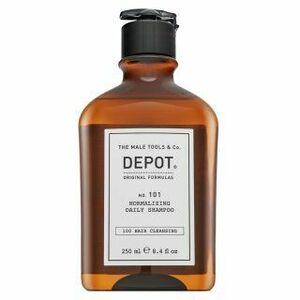 Depot No. 101 Normalizing Daily Shampoo šampon pro každodenní použití 250 ml obraz