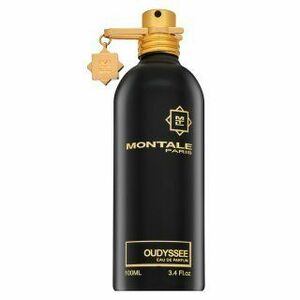 Montale Oudyssee parfémovaná voda unisex 100 ml obraz