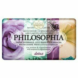 Nesti Dante Philosophia mýdlo Active Ingredient Natural Soap Detox 250 g obraz
