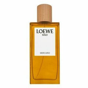 Loewe Solo Mercurio parfémovaná voda pro muže 100 ml obraz