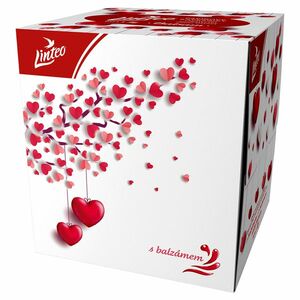 LINTEO Papírové kapesníky 3-vrstvé BOX Love 60 ks obraz
