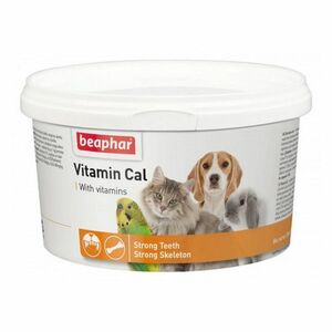 BEAPHAR Vitamin Cal pro psy, kočky, ptáky a malá zvířata 250 g obraz