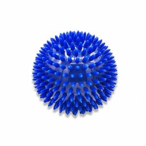 REHABIQ Masážní míček ježek modrý 10 cm obraz