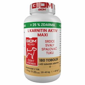 GIOM L-karnitin Aktiv 60 MAXI tablet + 25% zdarma obraz