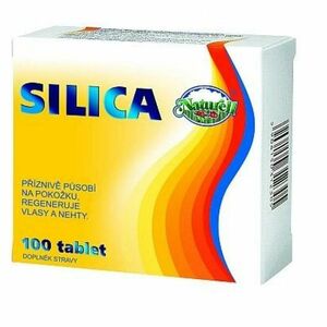 NATURELL Silica 100 tablet obraz