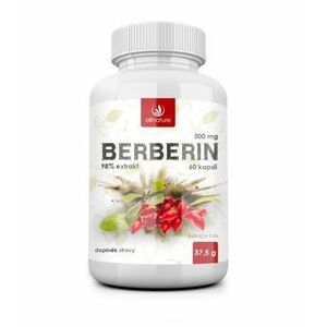 Allnature Berberin Extrakt 98% 500 mg 60 kapslí obraz