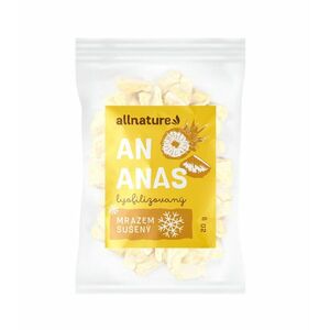 Allnature Ananas sušený mrazem kousky 20 g obraz