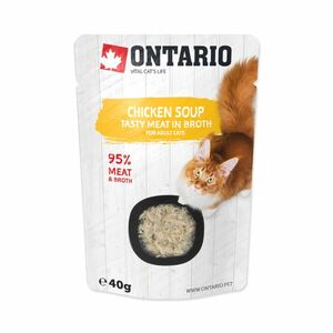 Ontario Kuřecí polévka kapsička 40 g obraz