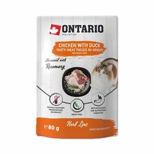 Ontario Kuřecí s kachnou v omáčce kapsička 80 g obraz
