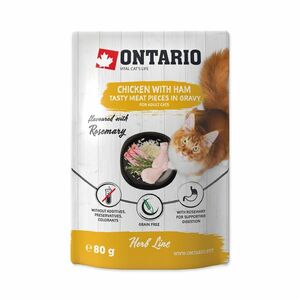 Ontario Kuřecí se šunkou v omáčce kapsička 80 g obraz