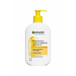 Garnier Skin Naturals Rozjasňující čisticí krém s vitaminem C 250 ml obraz