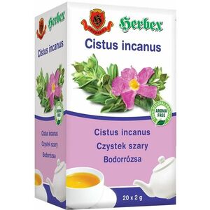 Herbex Cistus incanus sáčky 20 x 2 g obraz