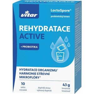 Vitar Rehydratace Active 10 sáčků obraz