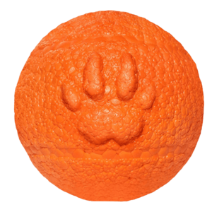 EXPLORER DOG AirBall Oranžový 8 cm obraz