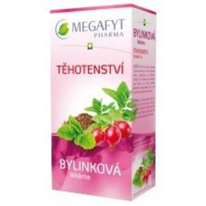 Megafyt Bylinková lékárna Těhotenství sáčky 20 x 1.5 g obraz