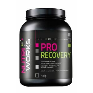 NUTRIWORKS Pro Recovery malina 1 kg obraz