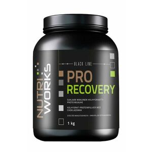 NutriWorks Pro Recovery čokoláda 1 kg obraz