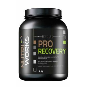 NutriWorks Pro Recovery čokoláda 2 kg obraz