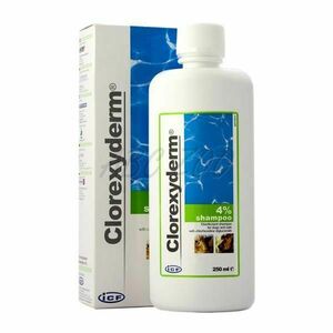 CLOREXYDERM 4% Dezinfekční šampon pro psy a kočky 250 ml obraz