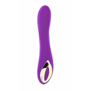 Healthy life Vibrator Rechargeable purple 0601570305 obraz