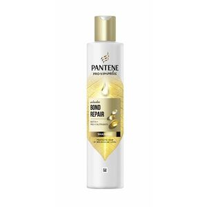 Pantene Pro-V Bond Repair šampon na poškozené vlasy 250 ml obraz