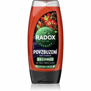 Radox Men Invigorating sprchový gel pro muže 3 v 1 225 ml obraz