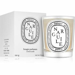 Diptyque Narguile vonná svíčka 190 g obraz