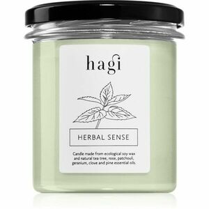 Hagi Herbal Sense vonná svíčka 230 g obraz