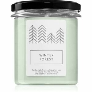 Hagi Winter Forest vonná svíčka 230 g obraz