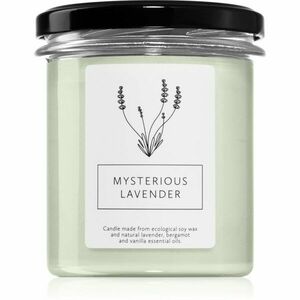 Hagi Mysterious Lavender vonná svíčka 230 g obraz