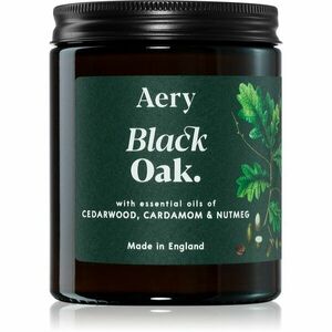 Aery Botanical Black Oak vonná svíčka 140 g obraz