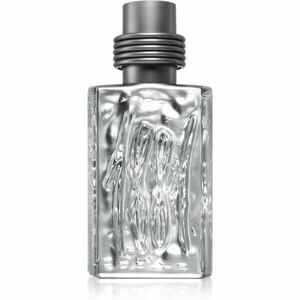 Cerruti 1881 Silver toaletní voda pro muže 50 ml obraz